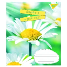 Зошит А5/96 арк лінія 1В Summer flowers, 766130
