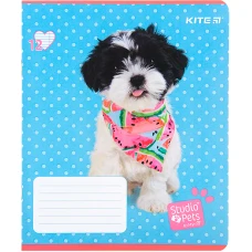 Зошит 12 арк., лінія, софт тач + УФ лак, Studio Pets SP22-234 Kite