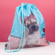 Сумка для взуття 1Вересня SB-10 Dolly Dog 533486