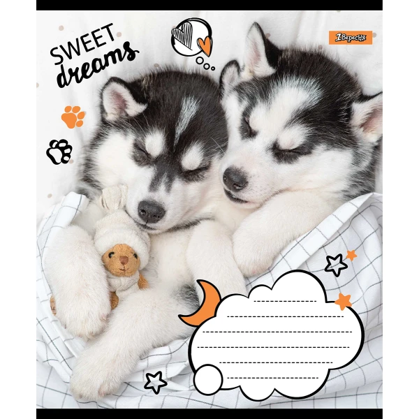 Зошит А5/24 арк лінія 1В Sweet dreams, 765905