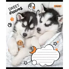 Зошит А5/24 арк лінія 1В Sweet dreams, 765905