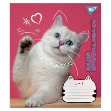 Зошит А5/18 арк кліт YES Adventurous cats, 766576
